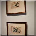 A47. Antique bird prints. 